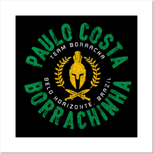 Paulo Costa Posters and Art